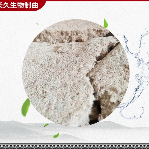 江苏山东大曲供应商